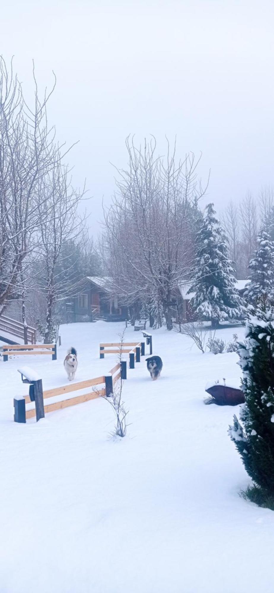Cabanas Kuyen Coyhaique Exteriér fotografie